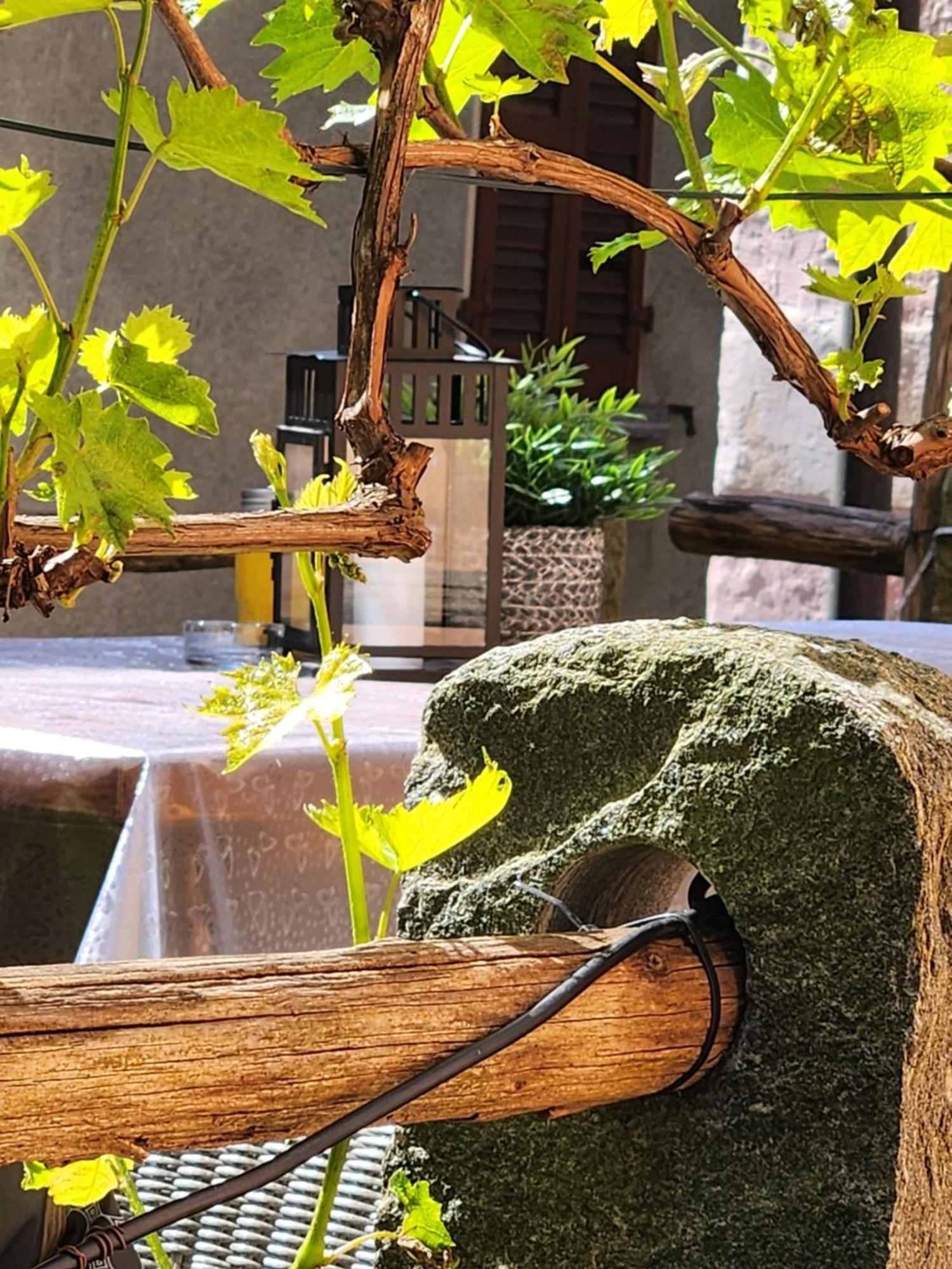 Donjon B&B e Ristorante Someo Exterior foto
